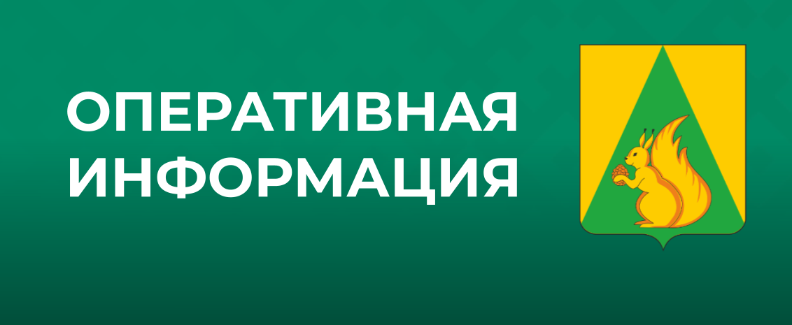 Введен сигнал беспилотной опасности на территории Республики Коми.