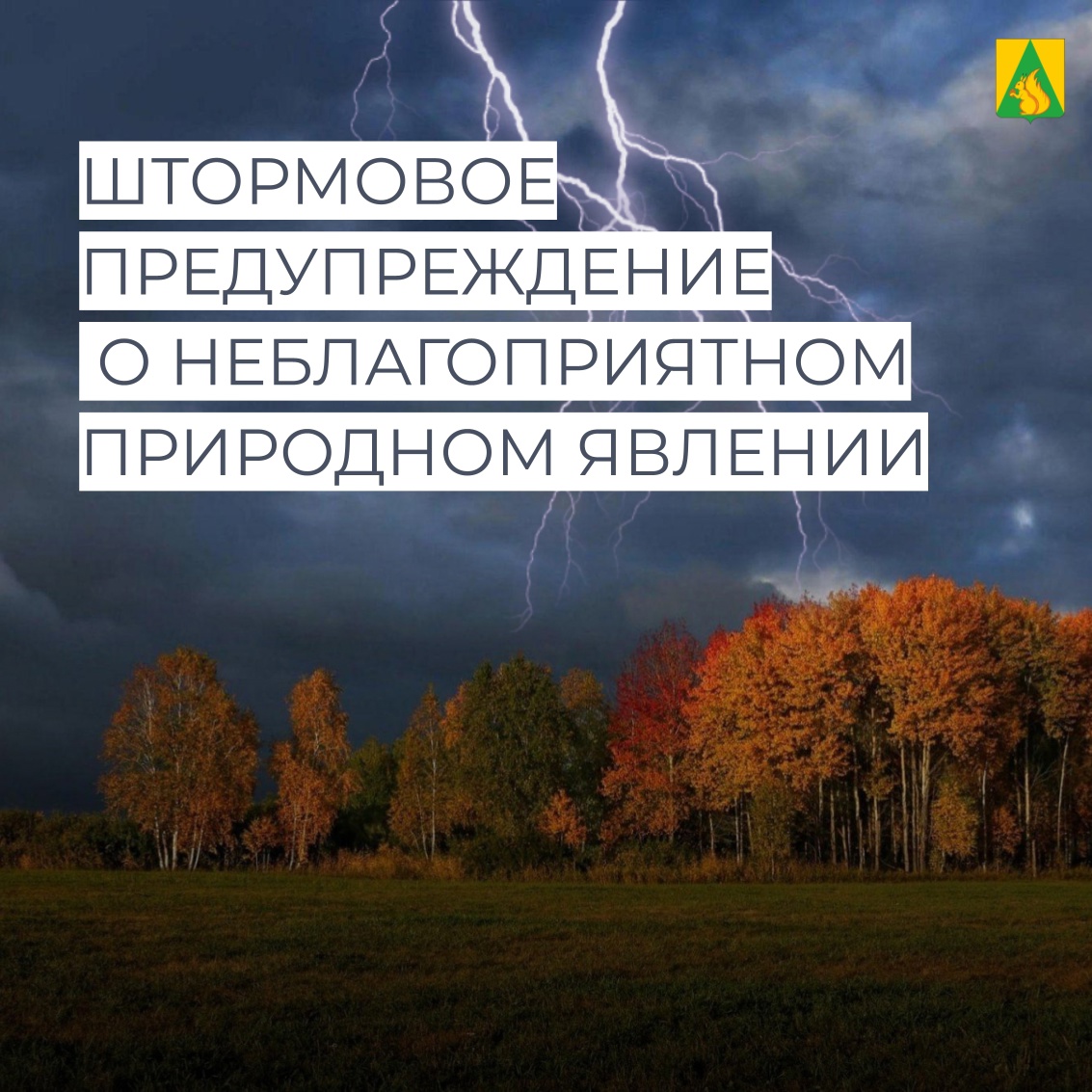 Штормовое предупреждение.