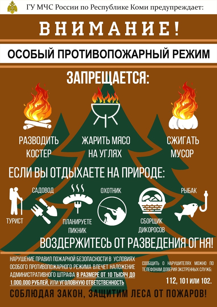 С 7 июня на территории Усть-Куломского района и еще 16 муниципалитетов Республики Коми введен особый противопожарный режим.