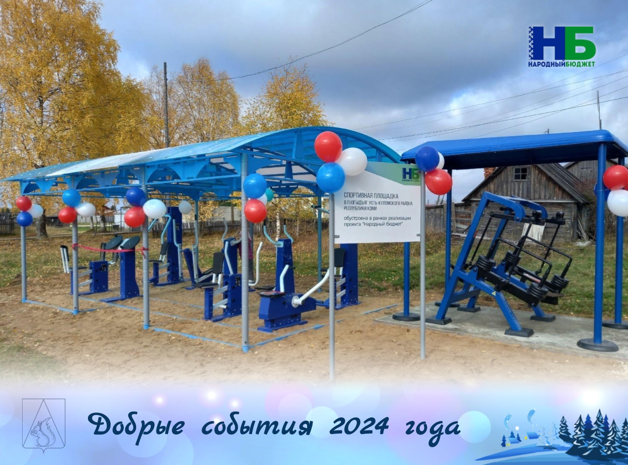 Добрые события уходящего 2024 года.