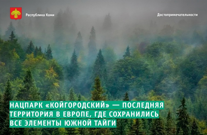 В Койгородском районе пройдёт II Молодежный межрайонный туристско-экологический слет «В тайгу».