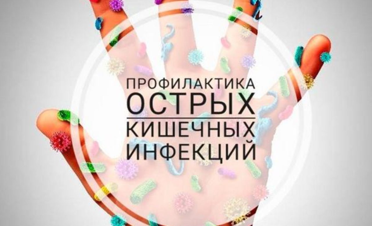 Меры профилактики острых кишечных инфекций.