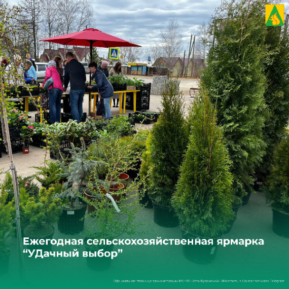 Ежегодная сельскохозяйственная ярмарка "УДачный выбор". Ежегодная сельскохозяйственная ярмарка "УДачный выбор".