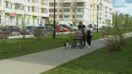 В Коми в два раза выросло количество получателей ежемесячной выплаты из маткапитала. В Коми в два раза выросло количество получателей ежемесячной выплаты из маткапитала.