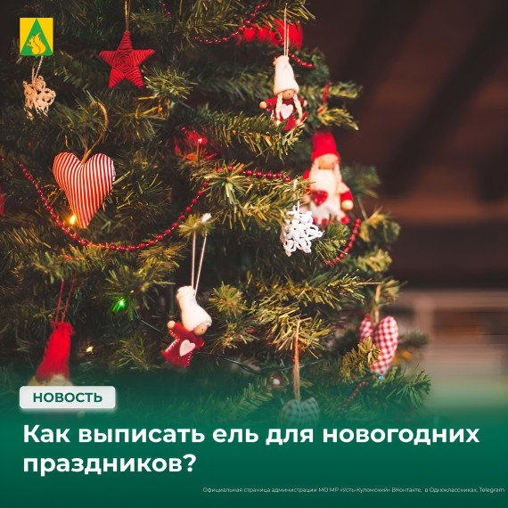 ИНФОРМАЦИЯ ПО ВЫПИСКЕ ЕЛЕЙ ДЛЯ НОВОГОДНИХ ПРАЗДНИКОВ. ИНФОРМАЦИЯ ПО ВЫПИСКЕ ЕЛЕЙ ДЛЯ НОВОГОДНИХ ПРАЗДНИКОВ.