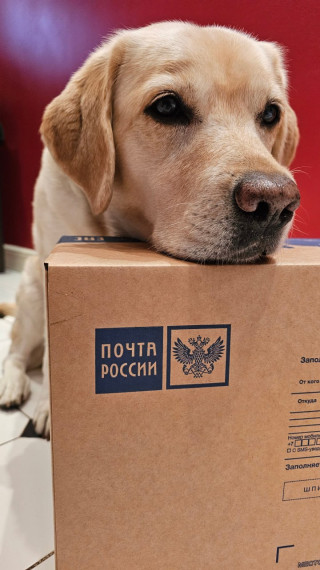 Почта России: 10 тонн тепла и заботы – каждый адресат важен. Почта России: 10 тонн тепла и заботы – каждый адресат важен.