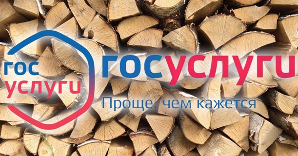 Памятка гражданам по размещению отчетов и документов, касающихся заготовки древесины для личных нужд, на портале «Госуслуги». Памятка гражданам по размещению отчетов и документов, касающихся заготовки древесины для личных нужд, на портале «Госуслуги».