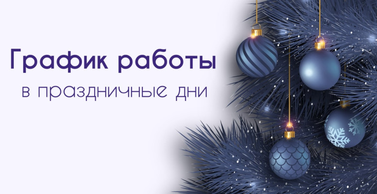 График работы РКВД в период с 31 декабря 2020 г. по 10 января 2021 г. - БУ "Респ